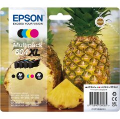 Epson C13T10H64010 (604XL) BKCMY Cartridge Multipack Image